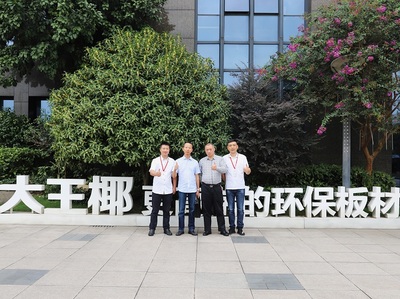 金螳螂股份携手大王椰板材 共筑工程渠道新未来